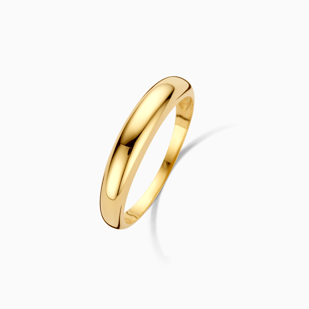 RAQUIENNE™ | Anello Elegante Minimal in Acciaio Inossidabile Oro